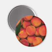 桃 マグネット (正面/裏面)