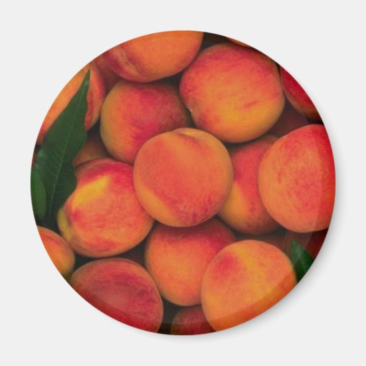 桃 マグネット (正面)