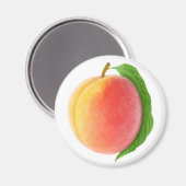 桃 マグネット (正面/裏面)