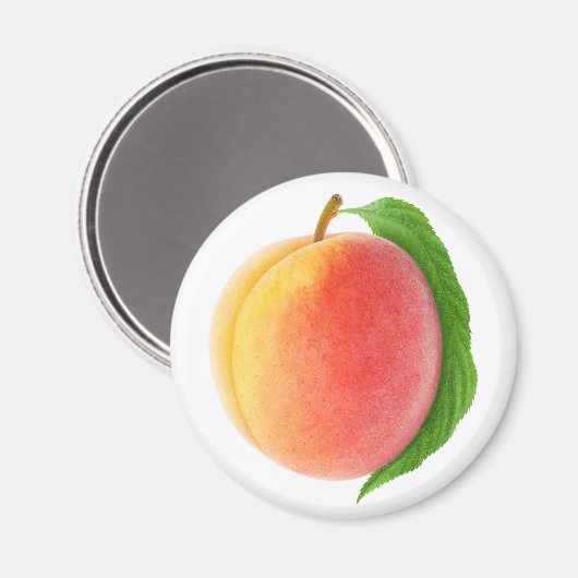 桃 マグネット (正面/裏面)