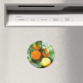 桃 マグネット (インサイチュ (食洗機))