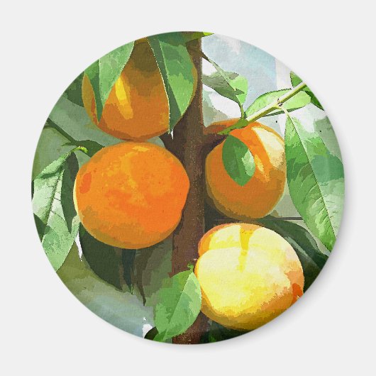 桃 マグネット (正面)