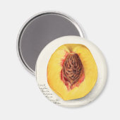 桃 マグネット (正面/裏面)