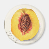 桃 マグネット (正面)