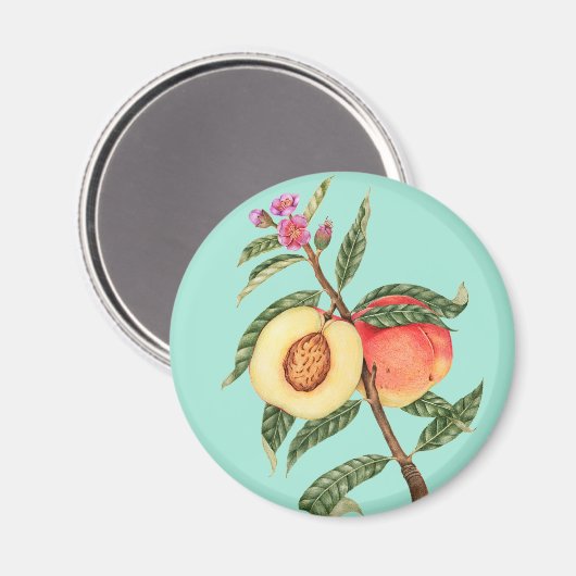 桃 マグネット (正面/裏面)