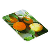 桃 マグネット (右側)