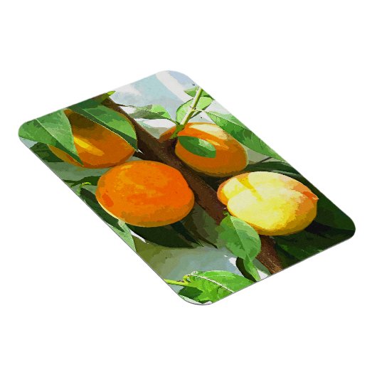 桃 マグネット (右側)