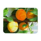 桃 マグネット (横)