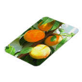 桃 マグネット (左側)