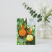 桃 名刺 (スタンド正面)