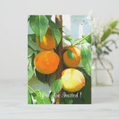 桃 招待状 (スタンド正面)