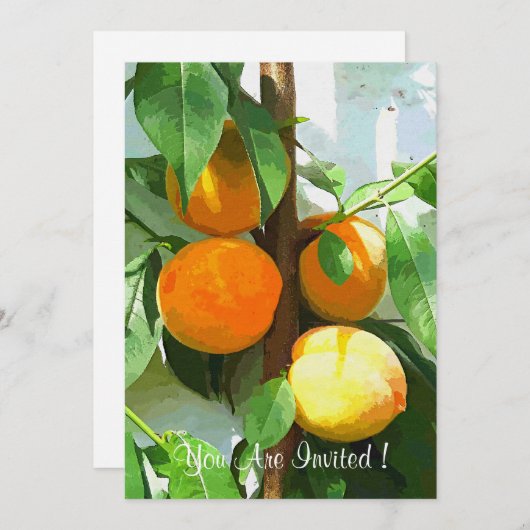 桃 招待状 (正面/裏面)