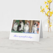 案内応答カード:子猫のラインアップ カード (黄色い花)