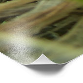 桑の木に新しく建てられたが空の鳥の巣 フォトプリント            (角)