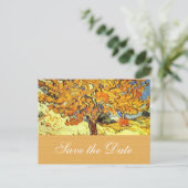 桑の木は日付ポストカードを保存する。ヴィンテージ 案内ポストカード (スタンド正面)