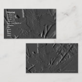 桜かエンボスそっくりの写真 名刺 (正面/裏面)