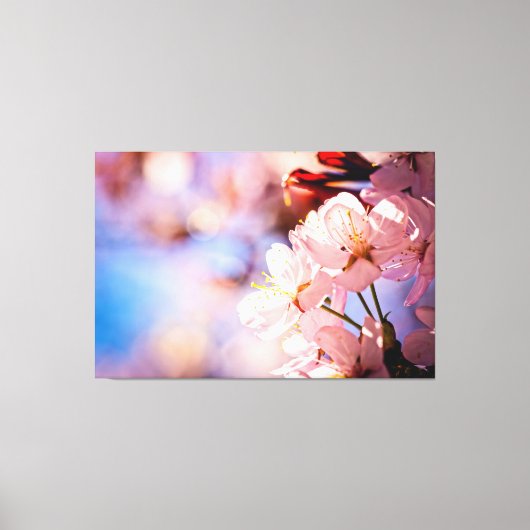 桜が晴れた日に咲く キャンバスプリント (正面)