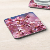 桜さくらんぼが日光にキスする花 コースター (左側)