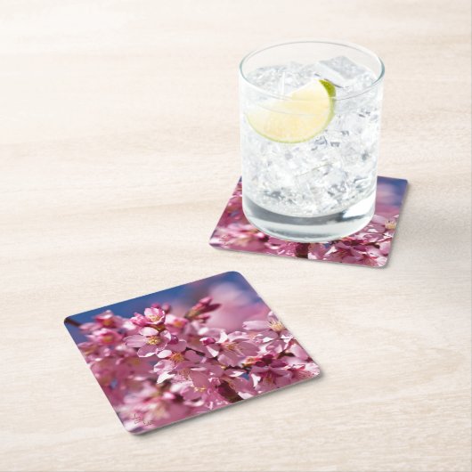 桜さくらんぼが日光にキスする花 スクエアペーパーコースター (インサイチュ)