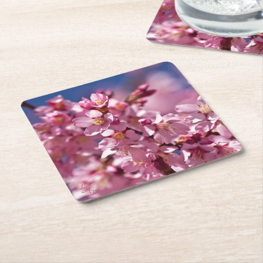 桜さくらんぼが日光にキスする花 スクエアペーパーコースター (アングル)
