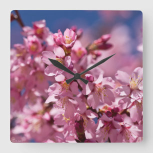 桜さくらんぼが日光にキスする花 スクエア壁時計