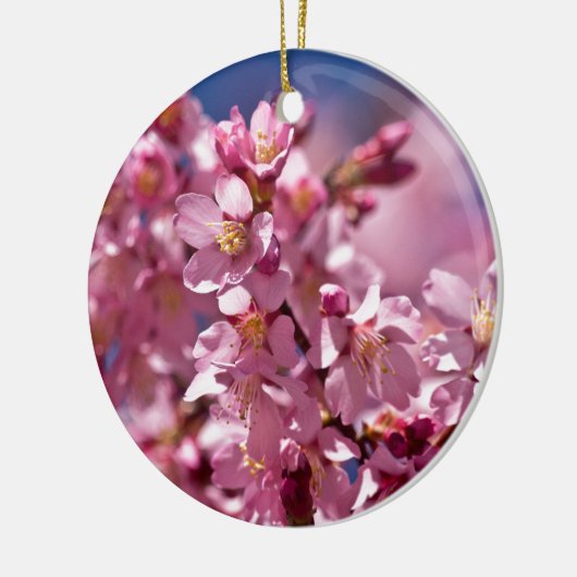 桜さくらんぼが日光にキスする花 セラミックオーナメント (左)