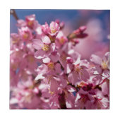 桜さくらんぼが日光にキスする花 タイル (正面)