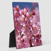 桜さくらんぼが日光にキスする花 フォトプラーク (側面)