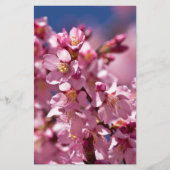 桜さくらんぼが日光にキスする花 便箋 (正面)