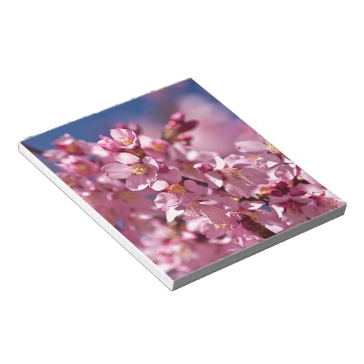 桜さくらんぼの花が日差しにキス ノートパッド (アングル)