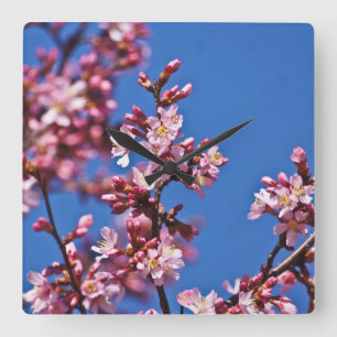 桜さくらんぼの花が青に染まる スクエア壁時計