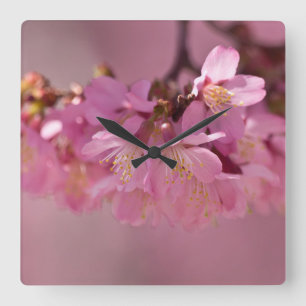 桜さくらんぼの花デリケートなピンク花束 スクエア壁時計