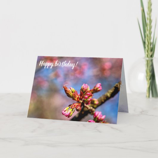 桜さくらんぼツリーの芽。春 カード (正面)