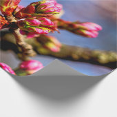 桜さくらんぼツリーの芽。春 ラッピングペーパー (角)