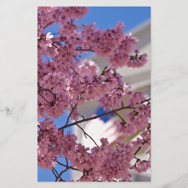 桜さくらんぼフラスアメリカーナ (正面)