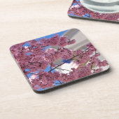 桜さくらんぼフラスアメリカーナ コースター (左側)