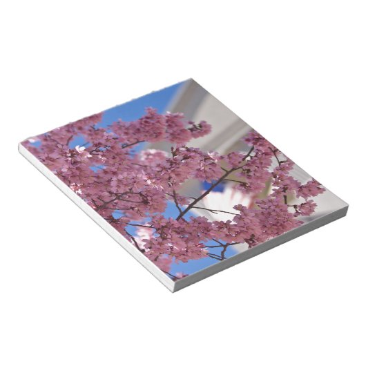 桜さくらんぼフラスアメリカーナ ノートパッド (アングル)