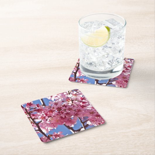 桜さくらんぼフラズレッドスターズ スクエアペーパーコースター (インサイチュ)