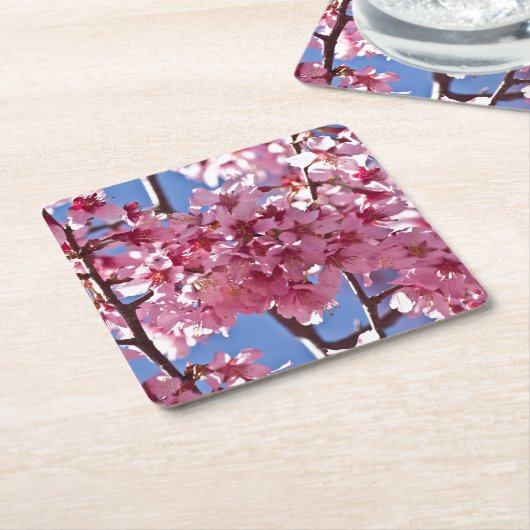 桜さくらんぼフラズレッドスターズ スクエアペーパーコースター (アングル)
