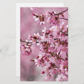 桜さくらんぼフローズパステルピンクレイヤーズ 便箋 (正面/裏面)
