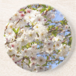 桜さくらんぼブロッサムジャパン京都 コースター
