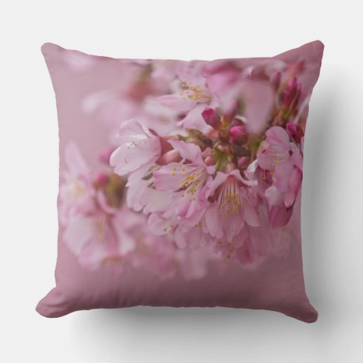 桜さくらんぼ花ピンク淡い色のリフレクション クッション (正面)