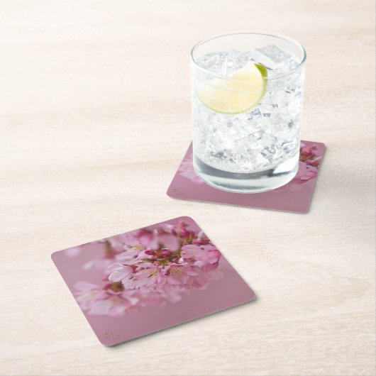 桜さくらんぼ花ピンク淡い色のリフレクション スクエアペーパーコースター (インサイチュ)