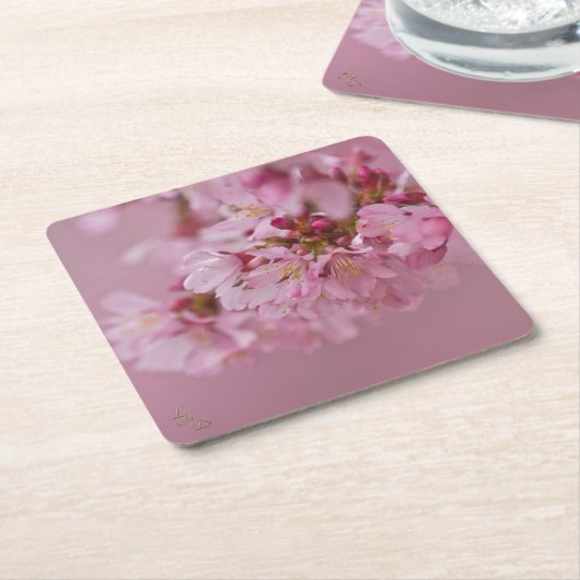 桜さくらんぼ花ピンク淡い色のリフレクション スクエアペーパーコースター (アングル)