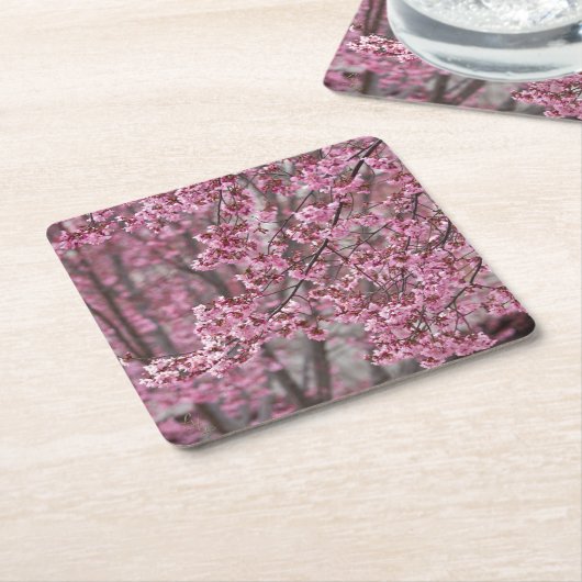 桜さくらんぼ花ピンク色 スクエアペーパーコースター (アングル)