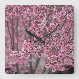 桜さくらんぼ花ピンク色 スクエア壁時計