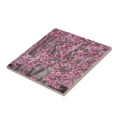 桜さくらんぼ花ピンク色 タイル (側面)