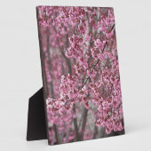 桜さくらんぼ花ピンク色 フォトプラーク (側面)