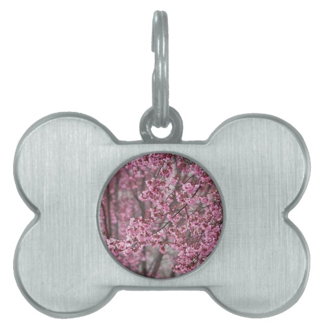 桜さくらんぼ花ピンク色 ペットネームタグ (正面)