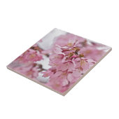 桜さくらんぼ花ピ淡い色のンク タイル (側面)